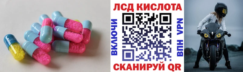 Купить закладки  Приозерск  Лсд 25 экстази ecstasy 