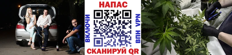 Каннабис сатива  Купить где  Приозерск 